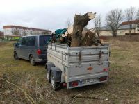 Frisch geschlagenes brennholz ab zugeben Mecklenburg-Vorpommern - Wismar Vorschau