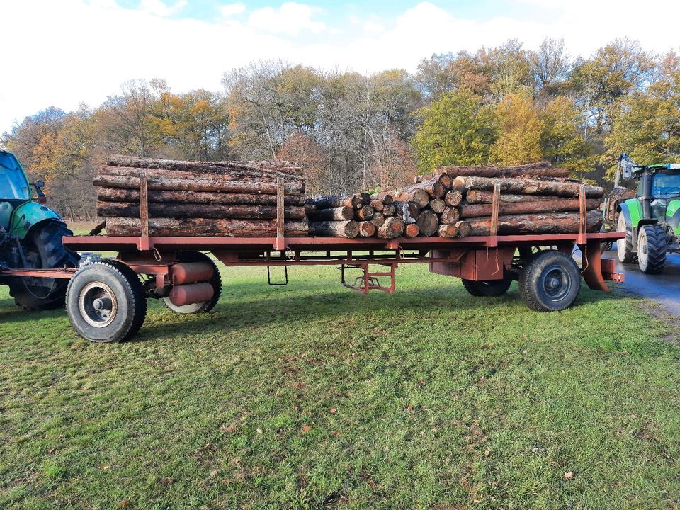 ❗️❗️Brennholz Feuerholz Kaminholz Kiefer Buche ❗️❗️ in Dresden