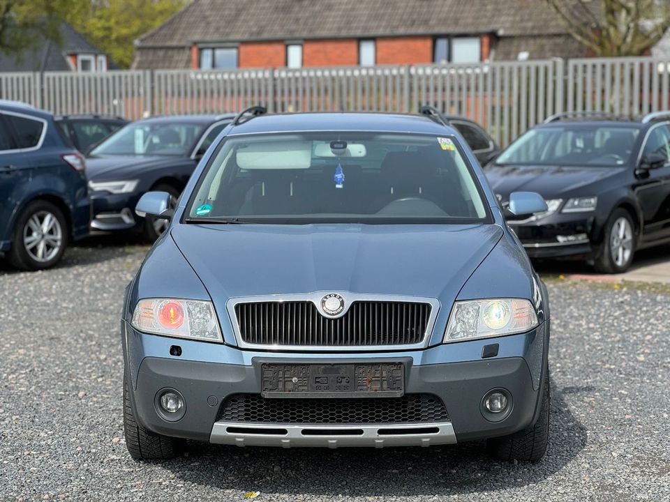 Skoda Octavia Combi Scout 4X4 Xenon in Flensburg