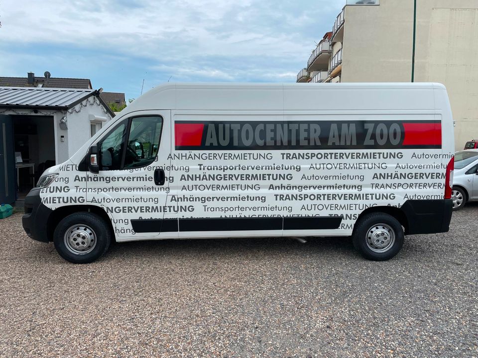 Transporter zu vermieten in Magdeburg