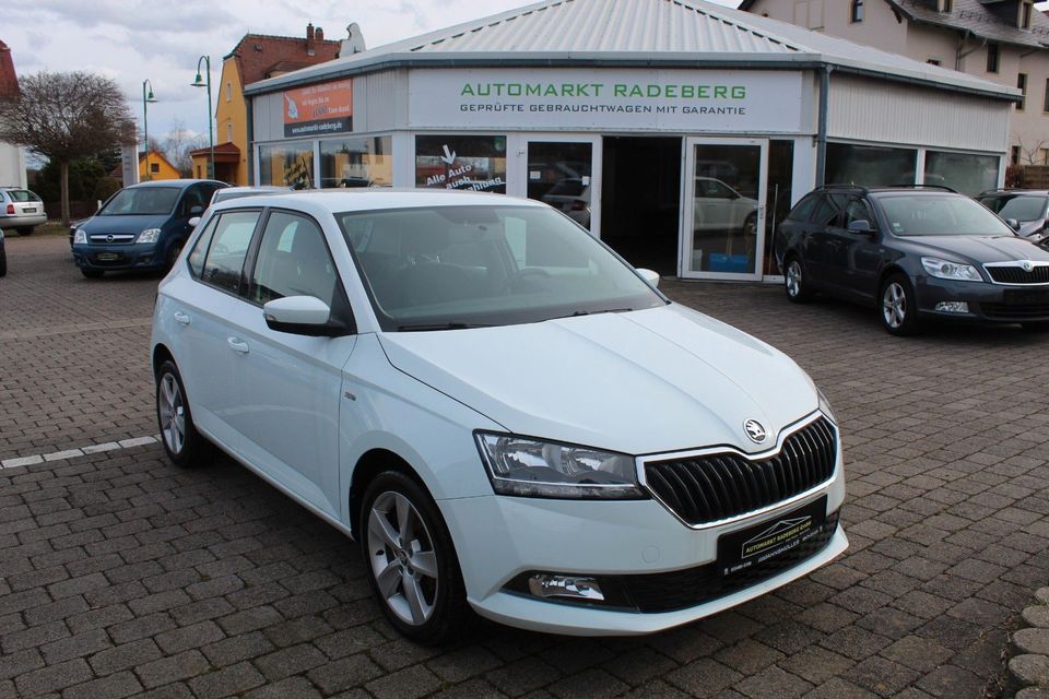 Skoda Fabia Cool Plus Klima PDC Inp.+TÜV neu Garantie in Radeberg