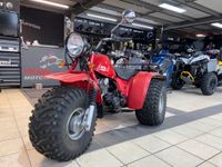 Honda ATC 200 Bayern - Bruck Vorschau