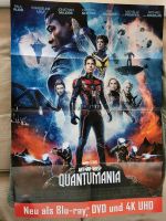 Merchandise Poster Marvel Ant-Man Pokémon Naruto Rheinland-Pfalz - Ebertsheim (Pfalz) Vorschau