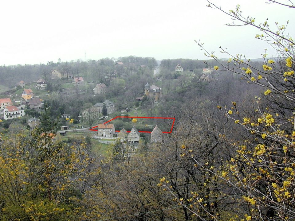 RADEBEUL Baugrundstück in herrlicher Waldrandlage, provisionsfrei in Radebeul