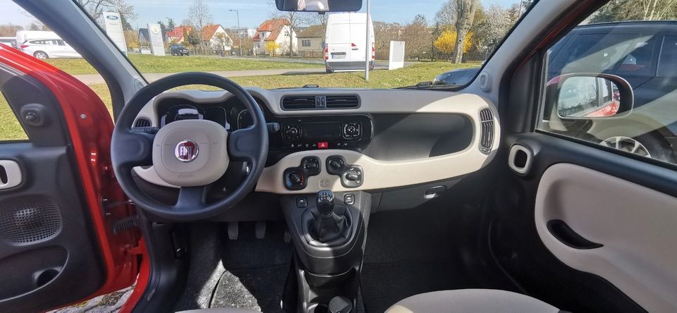 Fiat Panda Lounge in Zehdenick