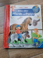 Wieso Weshalb Warum Alles über Pferde und Ponys Niedersachsen - Rosengarten Vorschau