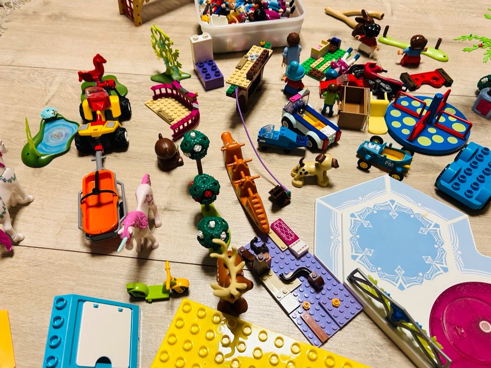 Playmobil & Lego große Sammelkiste in Elmshorn