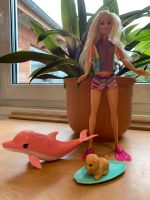 Barbie, Magie der Delfine Barbie und tierische Freunde Roßleben-Wiehe - Roßleben Vorschau