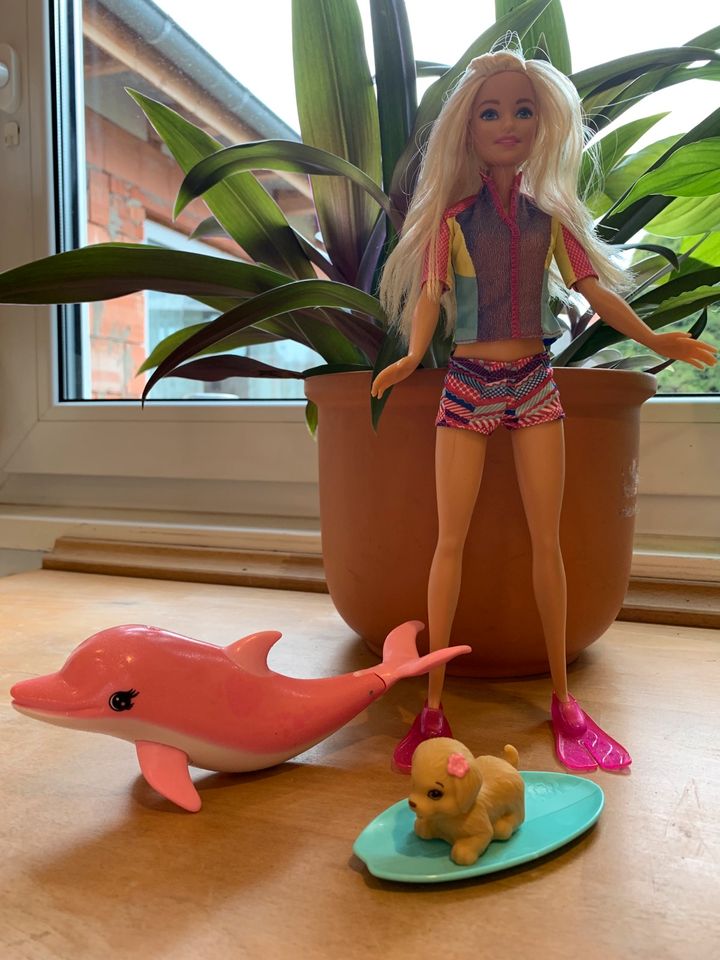 Barbie, Magie der Delfine Barbie und tierische Freunde in Roßleben