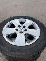 Opel Signum Vectra C Alufelgen 215/55r16 93V Sommerreifen Schleswig-Holstein - Rendsburg Vorschau