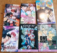 Englische boys love Manga - verschiedene Thüringen - Ilmenau Vorschau