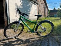 woom 5 (24) Fahrrad Kinder Sachsen-Anhalt - Zielitz Vorschau