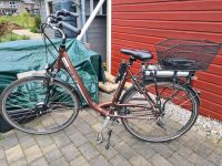 E-Bike Damenrad braun mit 2 Batterien Kreis Pinneberg - Kölln-Reisiek Vorschau