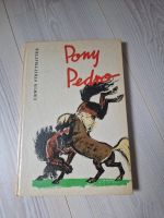 Pony Pedro Sachsen-Anhalt - Wanzleben Vorschau