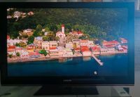 Samsung Full HD 50 Zoll Fernseher Baden-Württemberg - Hülben Vorschau
