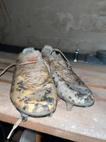 Adidas Nemeziz Sachsen - Zwickau Vorschau