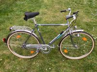 Herrenfahrrad Winora Tourenrad 1988 wie neu 5Gang Pentasport RH58 Hannover - Südstadt-Bult Vorschau