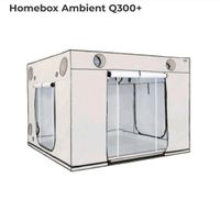 GrowboxHomebox Ambient Q300+ Hessen - Kelkheim Vorschau