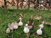 Schleich Gänse und 1 Ente und Bauer Niedersachsen - Hatten Vorschau