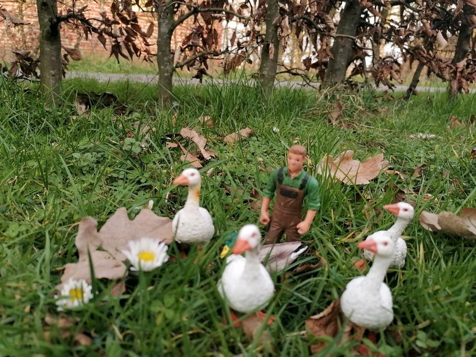 Schleich Gänse und 1 Ente und Bauer in Hatten