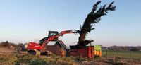 Forus SE 250 - Vermietung Mecklenburg-Vorpommern - Usedom Vorschau