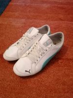 Sneaker / Schuhe von Puma Gr. 37 Nordrhein-Westfalen - Nettersheim Vorschau