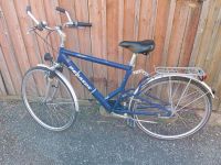 Herren Fahrrad PEGASUS ,  Millenium  28 Zoll Sachsen - Muldenhammer Vorschau