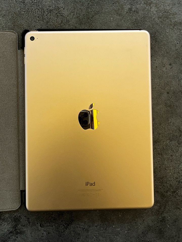 iPad Air 2 Gold 16 GB in Hersbruck