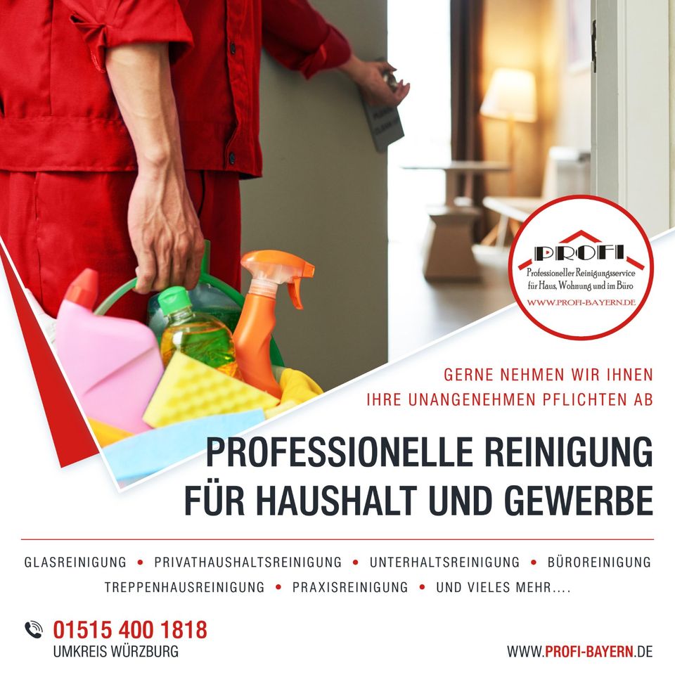 Fensterputzen Fensterreinigung Glasreiniger in Randersacker