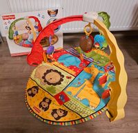 FisherPrice Spielebogen Baby Zoo mit OVP Bayern - Bischbrunn Vorschau