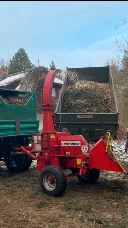 Baumpflege Baumfällung Hubarbeitsbühne Seilklettertechnik SKT B in Aumühle bei Hamburg