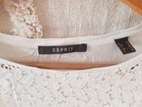 Esprit Collection Oberteil Brandenburg - Tschernitz Vorschau