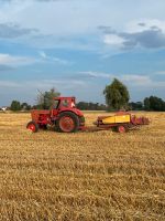 Kleine Bunde Haferstroh Brandenburg - Wriezen Vorschau