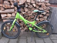 Scool xxlite 16 Zoll Kinderfahrrad Schleswig-Holstein - Tangstedt  Vorschau