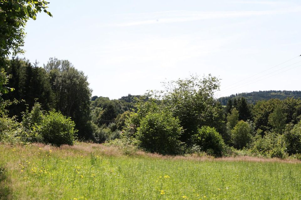 Freizeitgrundstück beim Bergdorf mit Ausblick und Größe in Waldmünchen