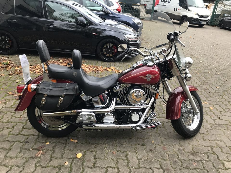 Harley Davidson Fat Boy FXST in Hamburg