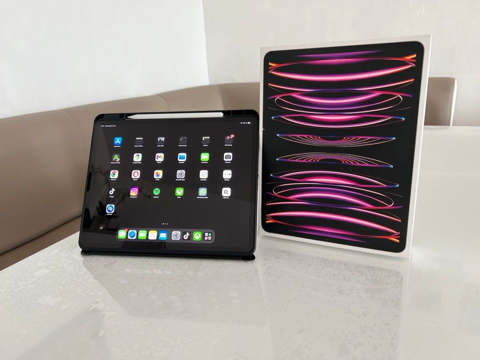 Ipad Pro 12,9 (6 Gen) Wifi 256 GB in Hanau