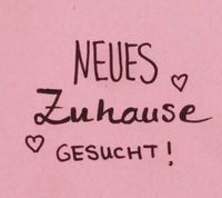 Suche 4 Raumwohnung in/um Olbernhau + Pockau Sachsen - Olbernhau Vorschau