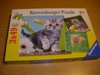 Ravensburger Puzzle Katzenabenteuer 3x49-teilig Nordrhein-Westfalen - Remscheid Vorschau