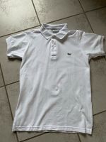 Lacoste Poloshirt Herren Größe M - NEU - Nordrhein-Westfalen - Bünde Vorschau