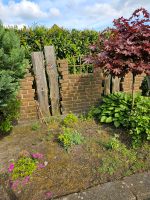 Ruinenmauer Gartenmauer Stallfenster Garten Deko Niedersachsen - Barßel Vorschau