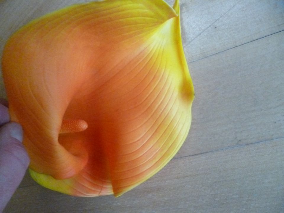 neu Kunstblume Calla gelb orange 100 cm in Laatzen