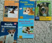 Alles rund um den Hund, versch. Bücher Rheinland-Pfalz - Konz Vorschau