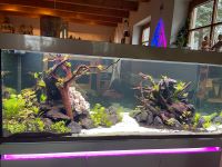 Eheim Aquarium Incpiria 530 gold Baden-Württemberg - Zimmern ob Rottweil Vorschau