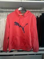 Puma Pulli Rheinland-Pfalz - Zweibrücken Vorschau