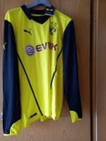 BVB-Trikot zu verkaufen ungetragen Nordrhein-Westfalen - Kevelaer Vorschau