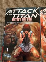 Mangas Attack on Titan 1-17 teils neu! Saarbrücken-Mitte - St Johann Vorschau