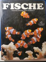 Meerwasser aquarium Bücher Bayern - Mauern Vorschau