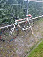 Fahrrad KS Cycling Dortmund - Eving Vorschau