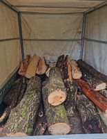 Holz zu verkaufen Baden-Württemberg - Heidenheim an der Brenz Vorschau